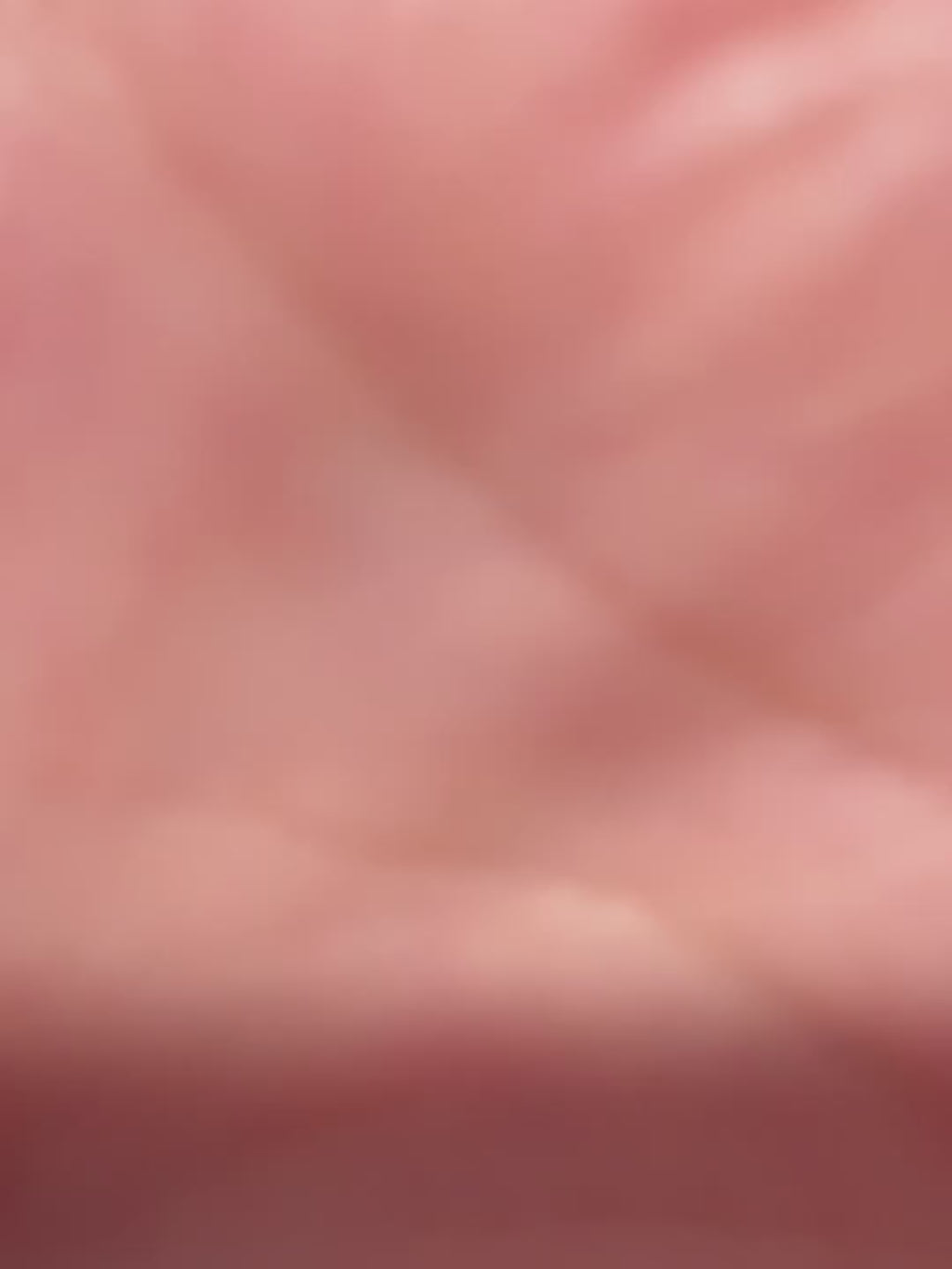 OVERSIZE T-shirt Meow Criminal - One size